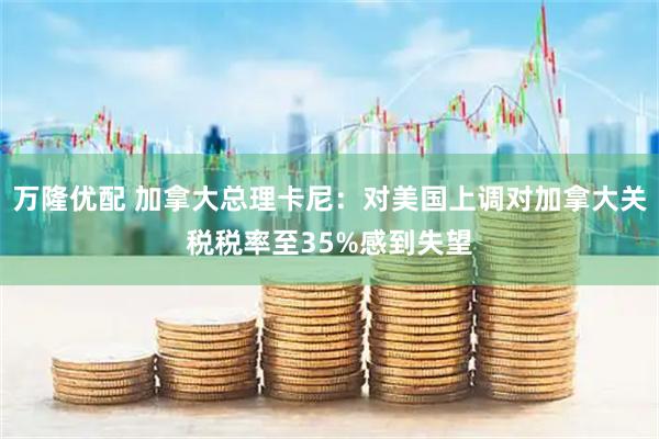 万隆优配 加拿大总理卡尼：对美国上调对加拿大关税税率至35%感到失望