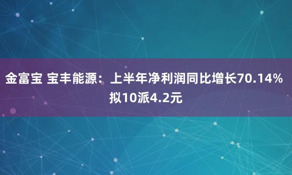 金富宝 宝丰能源：上半年净利润同比增长70.14% 拟10派4.2元
