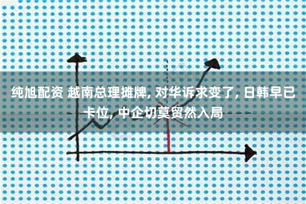 纯旭配资 越南总理摊牌, 对华诉求变了, 日韩早已卡位, 中企切莫贸然入局